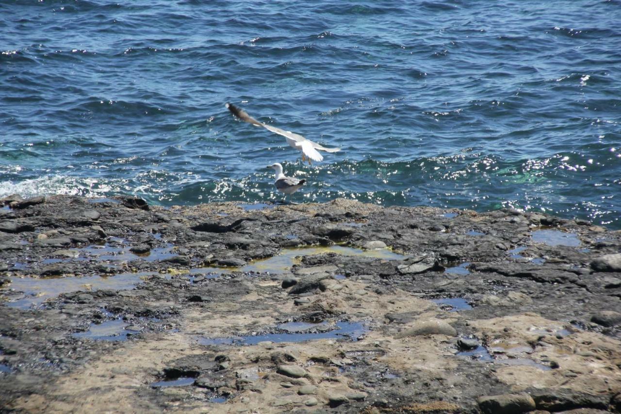 Seagull Estudios Pozo Izquierdo 외부 사진